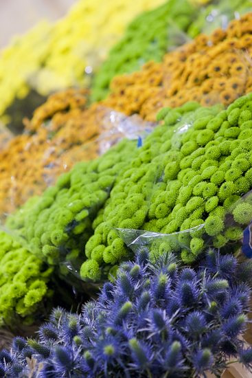 MIN RUNGIS-Fleurs-56.jpg